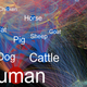Illustration for article titled This Jaw-Dropping Visualization Shows the Extent to Which Diseases Spread Among Species